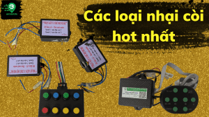 thmnail WEB 15