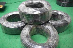 IMG 1728386859764 1728386921181