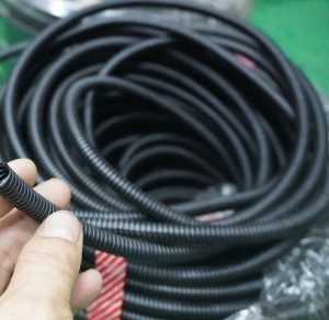 IMG 1728386859896 1728386930631 e1746778167648