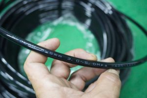 IMG 1728386860749 1728386935622